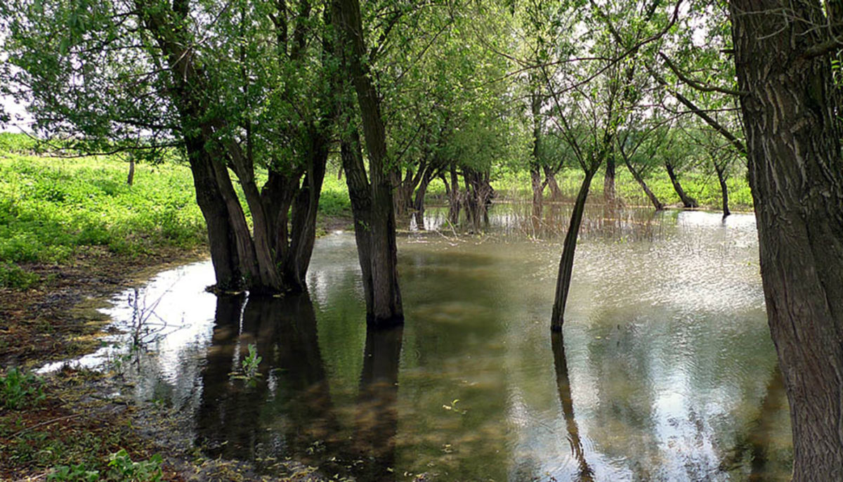 20160330a Foto bij evolutie zee