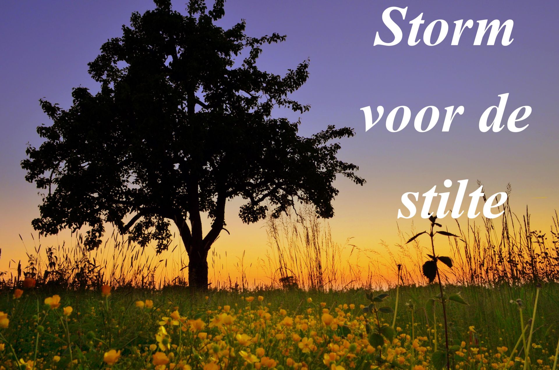 Storm voor de stilte... - Omroep Lingewaard